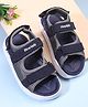 Pine Kids Casual Sandal - Blue