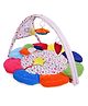 Babyhug Premium Play Gym With Flower - Multicolor