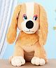 EDU KIDS TOYS Cucoo Dog Soft Toy Height 34 CM- (Color May Vary)