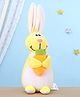Toytales Rabbit Shaped Soft Toy - Height 18 cm (Color May Vary)