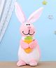 Toytales Rabbit Shaped Soft Toy Pink - Height 24 cm(Color & Print May Vary)