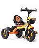 Babyhug Plug & Play Phantom Tricycle With Storage Basket - Orange