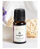 Clovia Botaniqa Elderberry Essential Oil For Skin Hair & Diffusion - 10ml