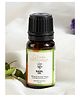 Clovia Botaniqa Basil Essential Oil For Skin Hair & Diffusion - 10 ml