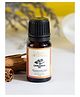 Clovia Botaniqa Pure Cinnamon Essential Oil For Skin Hair & Diffusion - 10 ml