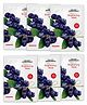 Keya Seth Aromatherapy Blueberry Face Brightening Mask Pack of 6 - 30 gm each