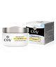 Olay Natural Aura Day Cream with Vitamin B3 Pro B5 E and SPF 15 - 50 g