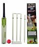 Wasan Cricket Set Size 5 with Box - Natural