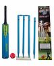 Wasan Cricket Set Size 5 with Box - Blue