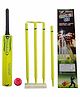 Wasan Cricket Set Size 5 with Box - Yellow
