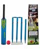 Wasan Cricket Set Size 3 with Box - Blue