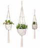 Elementary Handmade Macrame Cotton Plant Hangers Pack of 3 - Off White