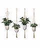 Elementary Handmade Macrame Cotton Plant Hangers Pack of 4 - Off White