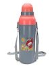 Cello Homeware Cool Wiz Insulated Water Bottle Enjoy Print Grey - 600 ml Approx