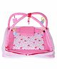 DearJoy Baby Kick and Play Gym with Mosquito Net and Baby Bedding Set Bunny Print - Pink