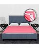 BeyBee Cotton Dry Sheet for Double Bed King Size , Double Bed Size - Salmon Rose