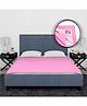 BeyBee Dry Sheet for Double Bed Queen Size Double Bed Size 260cm x 200cm - Pink