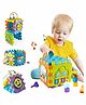 Fiddlerz 6 in 1 Activity Cube Toy - Multicolor