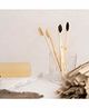 Organic B Bamboo Toothbrush Pack of 4 - Brown