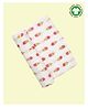 Theoni 100% Organic Cotton Muslin Popsicle Printed Swaddle - Pink