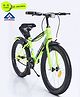 Pine Kids 99% Assembled Bicycle with 20 Inch Wheels - Green