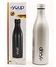 Youp Thermosteel  Insulated Double Wall Water Bottle Silver - 1000 ml