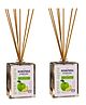 Manipura Ayurveda Aromatherapy Green Apple Diffuser Set Pack of 2 Green - 100 ml Each