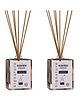 Manipura Ayurveda Aromatherapy Signature Reed Diffuser Set Pack of 2 - 100 ml Each