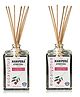 Manipura Ayurveda Aromatherapy Eucalyptus Reed Diffuser Set Pack of 2 - 100 ml Each