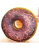 Oscar Homes Doughnut Shaped Cushion - Multicolor