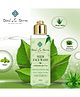 Teal & Terra Neem Face Wash with Basil & Aloe Vera - 100 ml
