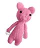 Babymoon Handmade Knitted Crochet Baby Photography Shoot Prop (Design May Vary)