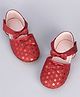 Cute Walk by Babyhug Paty Wear Belly Shoes Bow Appliques  - Red