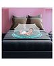 LifeKrafts Baby Foldable Mosquito Net - Green