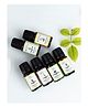 Clovia Botaniqa Relaxing & Energising Ayuvedic Essential Oil Bottles Pack of 6 - 10 ml Each