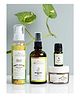 Clovia Botaniqa Anti-Acne Ayurvedic Skin Care Combo Pack of 4 -  10 ml 100 ml 50 gm & 120 ml 