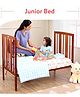 Babyhug Malmo Wooden Cot with 3 Level Height Adjustment & Plug and Play Assembly - Walnut| Solid Pinewood| Convert to Junior Bed| Smooth Edges