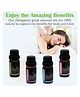 Amour Aromatherapy Diffuser Oil Pack of 4 - 10 ml each