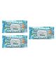 The Little Lookers  Soft Cleansing Anti Bacterial Baby Cotton Wipes Pack Of 3 - 90 Pieces Each
