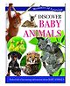 Discover Baby Animals - English