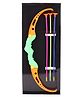 Ratnas Archer King Deluxe Bow and Arrow Set (Colour May Vary)