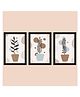 WENS Framed Colorful Botanical Art Print Pack of 3  - Multicolor