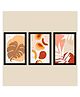 WENS Framed Botanical Art Print Pack of 3  - Multicolor