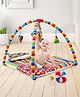 Babyhug Joy Rattle with Classic Clutch Rattle Ball & Smiling Clown Twist N Fold Activity Play Gym