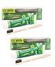 Bentodent Earthy Natural Toothpaste With Bamboo Tooth Brush - Betel Leaf, Vegan, SLS Free 100 g (Pack of 2)