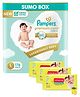Pampers Premium Care Pants Baby Diapers Large Size - 176 Pieces & Babyhug Premium Baby Lemon Wipes - 72 Pieces - (Pack of 3)