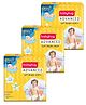 Babyhug Advanced Pant Style Diaper XXXL Size - 20 Pieces - (Pack of 3)