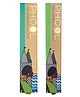 Phool Pack of 2 Natural Incense Sticks Mosquito Repellent Pack - Fragrances- Citronella & Eucalyptus | 80 Organic Agarbatti Sticks | 100% Organic.