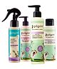Pilgrim Spanish Rosemary & Biotin Hair Growth Oil 100 ml with Anti Dandruff Shampoo 200 ml, Anti Dandruff Conditioner 200 ml and Spanish Rosemary Water 100 ml
