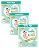 Pampers Premium Care Pants Baby Diapers Large Size - 176 Pieces(Pack of 3)